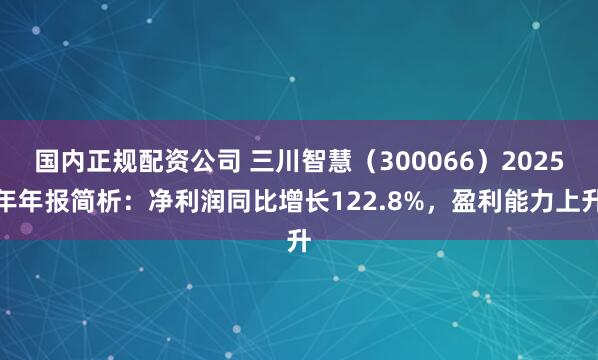 国内正规配资公司 三川智慧（300066）2025年年报简析：净利润同比增长122.8%，盈利能力上升